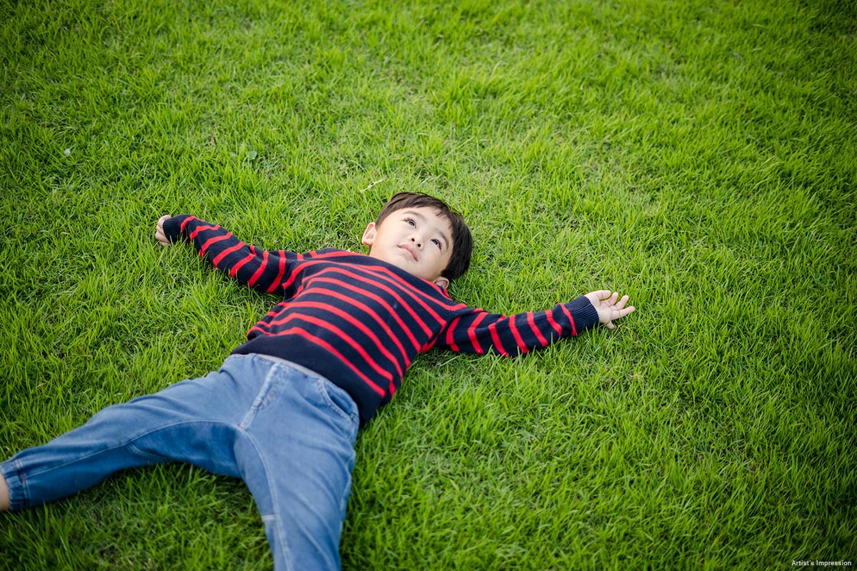 Manicured Green Lawns at ACE Starlit
