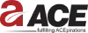 ACE Group Logo